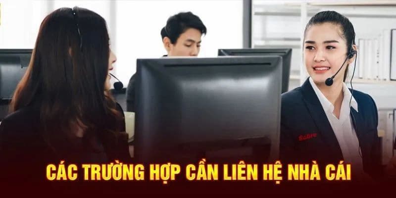 liên hệ nohupro.co Chăm sóc 24/7