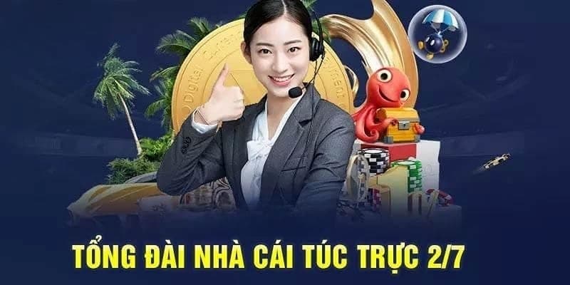liên hệ nohupro.co Lý do nên lựa chọn liên hệ nohupro.co